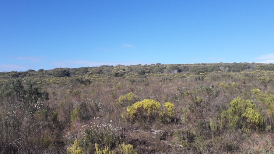 1 Bedroom Property for Sale in Riversdale Rural Western Cape